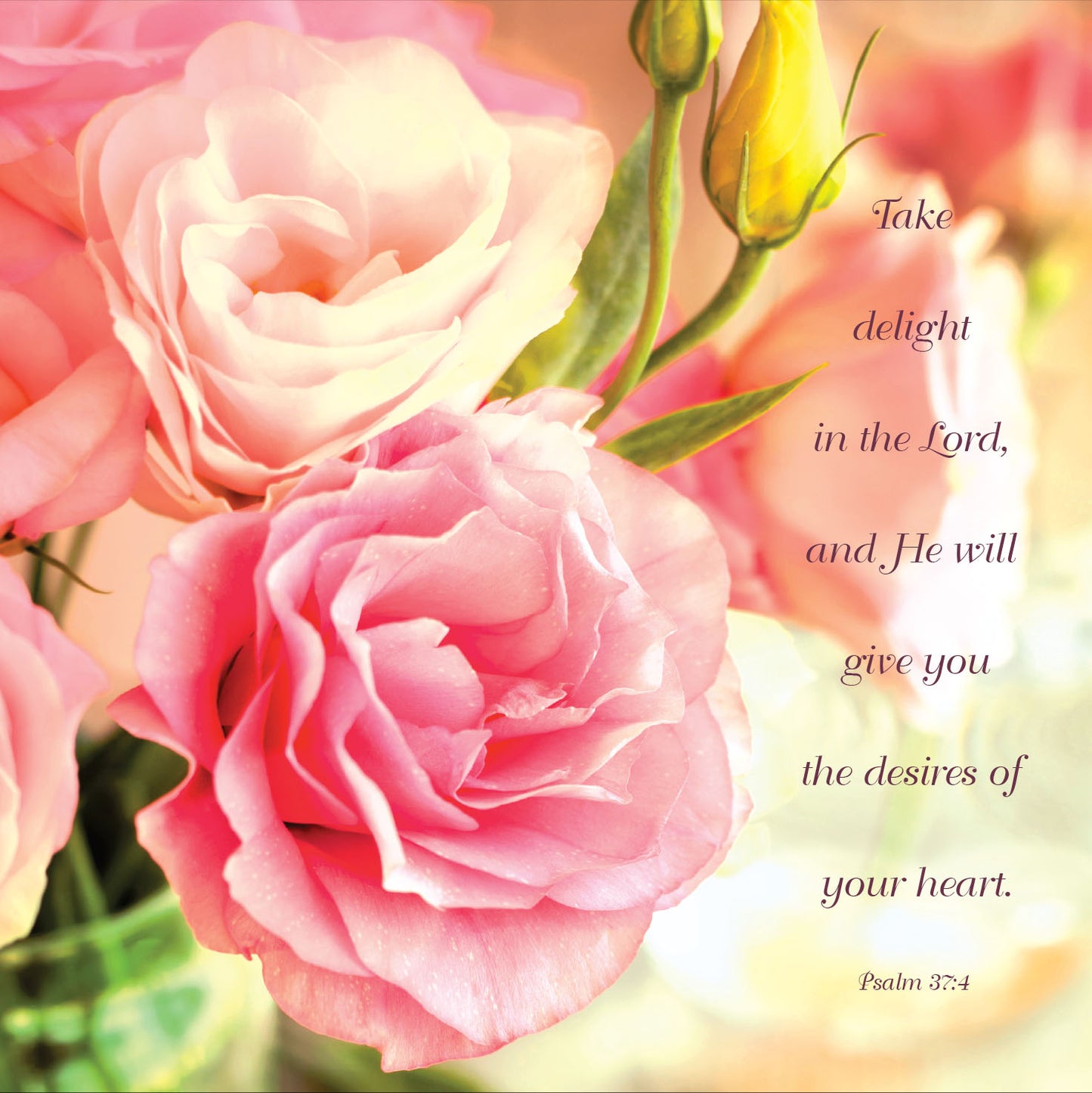 Mini Wall Plaque - Roses: Psalm 37:4 - The Christian Gift Company