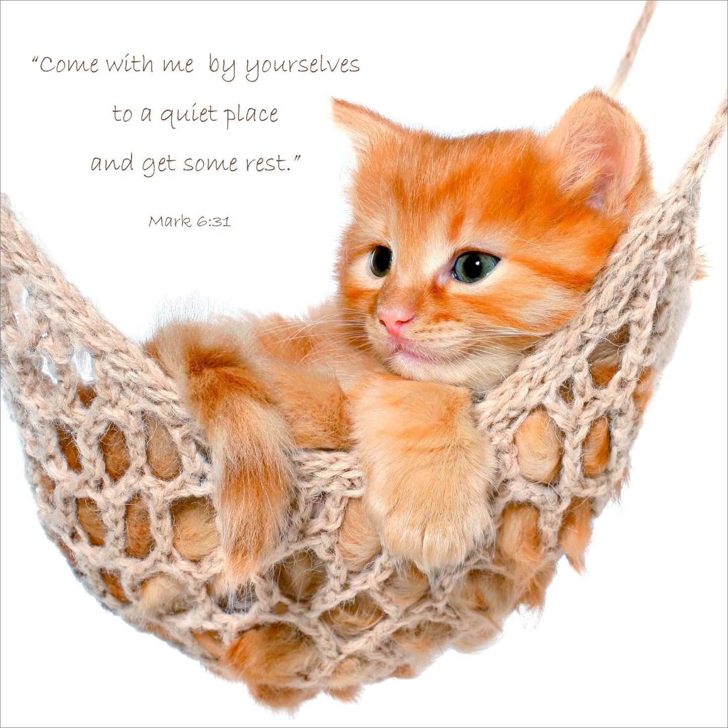 Mini Wall Plaque - Cat in Hammock: Mark 6:31 - The Christian Gift Company