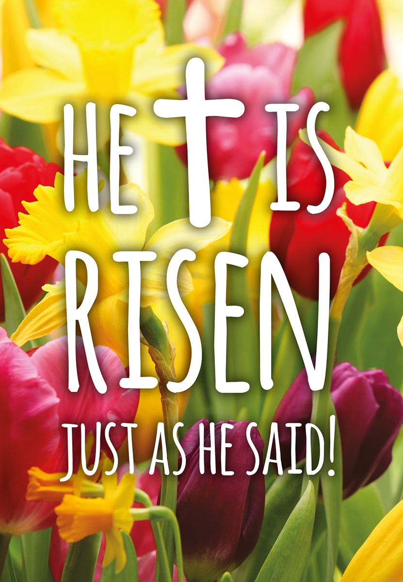 Compassion Charity Easter Cards - Tulips/He Is Risen (pack of 5) - The Christian Gift Company