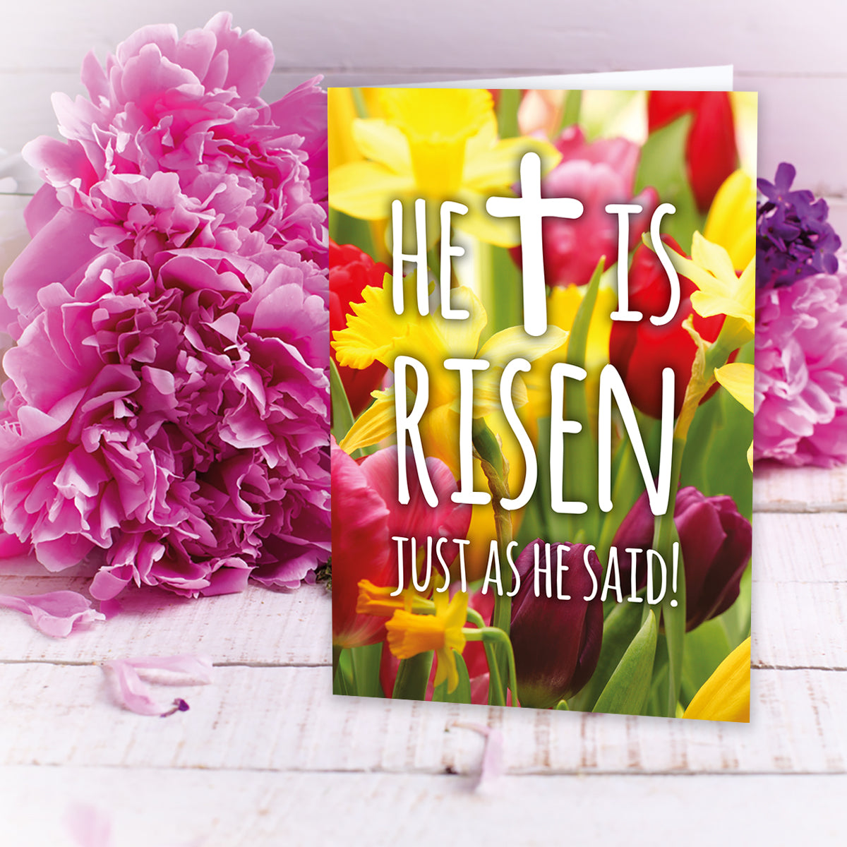 Compassion Charity Easter Cards - Tulips/He Is Risen (pack of 5) - The Christian Gift Company