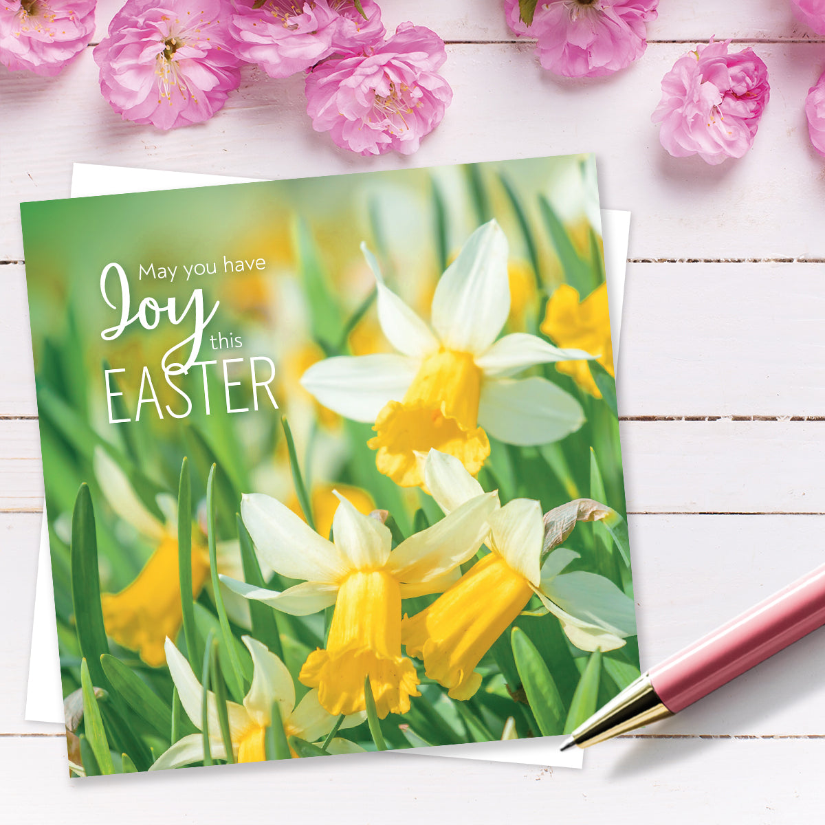 Compassion Charity Easter Cards - Joy/Daffodils (pack of 5) - The Christian Gift Company