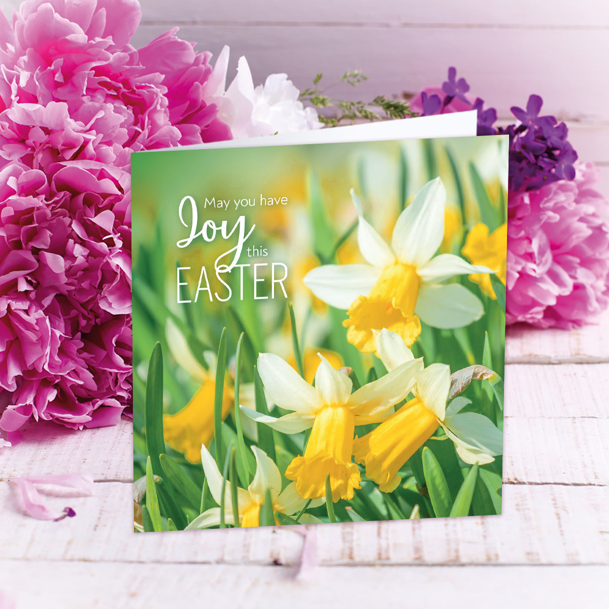 Compassion Charity Easter Cards - Joy/Daffodils (pack of 5) - The Christian Gift Company