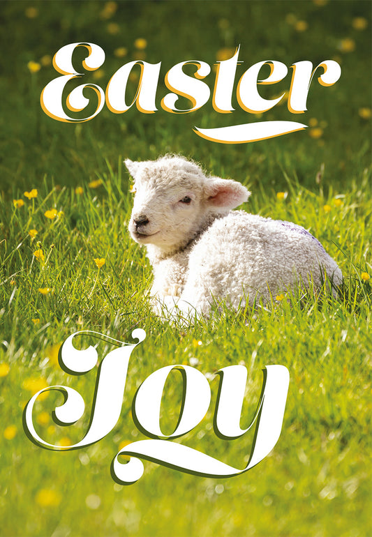 Compassion Charity Easter Cards - Lamb/Easter Joy (pack of 5) - The Christian Gift Company