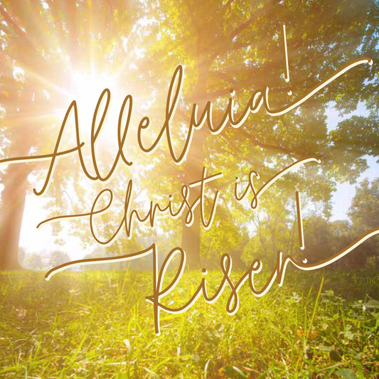 Mini Easter Cards - Alleluia/Sunburst (pack of 5) - The Christian Gift Company