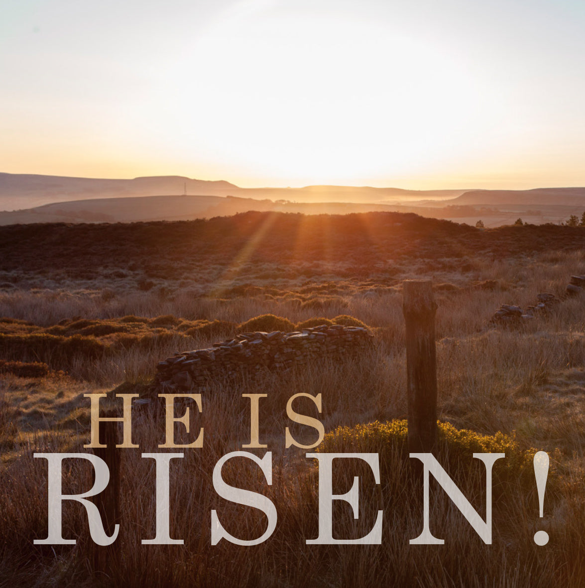 Easter Card - He is Risen! (pack of 5)