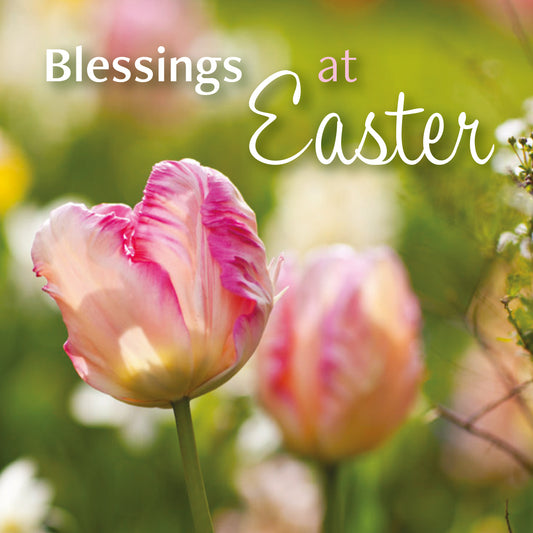 Easter Card - Tulip/Blessings At Easter (pack of 5) - The Christian Gift Company