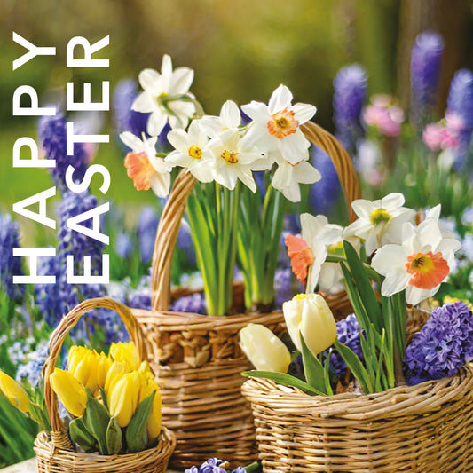 Easter Card - Daffodil Baskets (pack of 5) - The Christian Gift Company