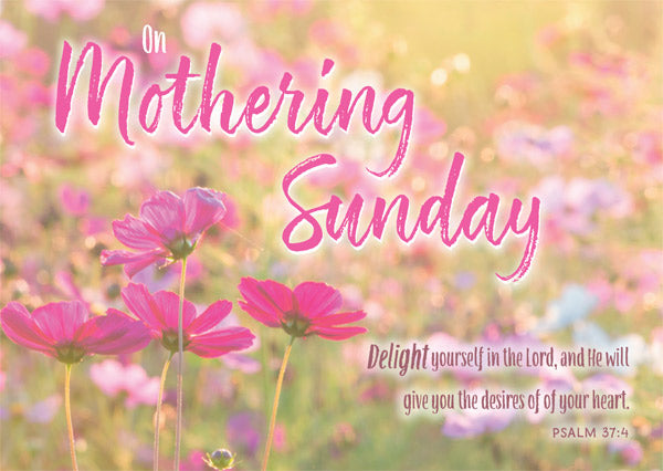 Mothering Sunday Postcards - Pink Flowers (pack of 24) - The Christian Gift Company