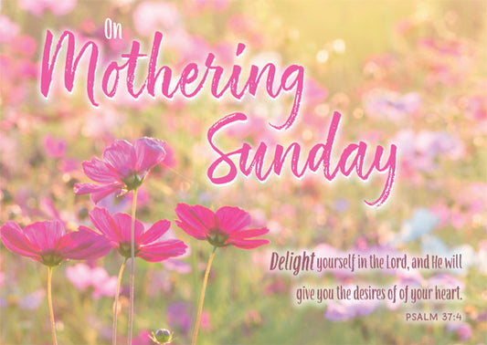 Mothering Sunday Postcards - Pink Flowers (pack of 24) - The Christian Gift Company