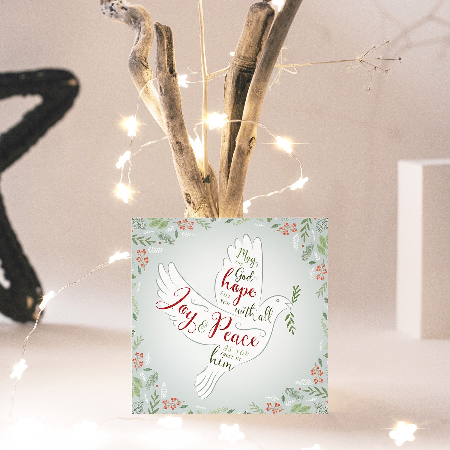 Compassion Christmas Card: Joy And Peace Dove (pack of 10) - The Christian Gift Company