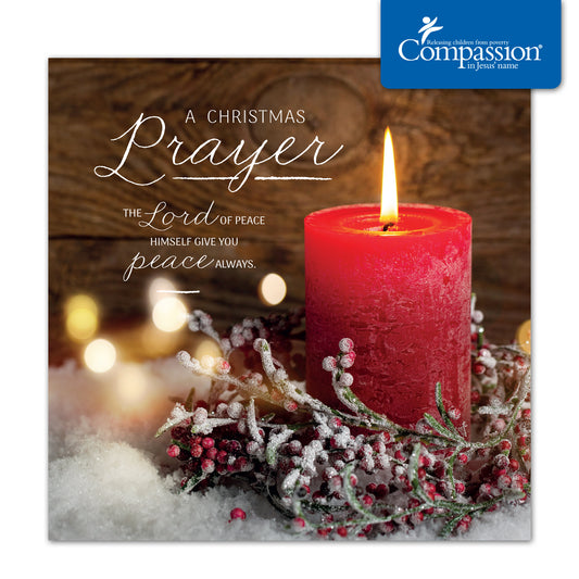 Compassion Christmas Card: A Christmas Prayer (pack of 10) - The Christian Gift Company