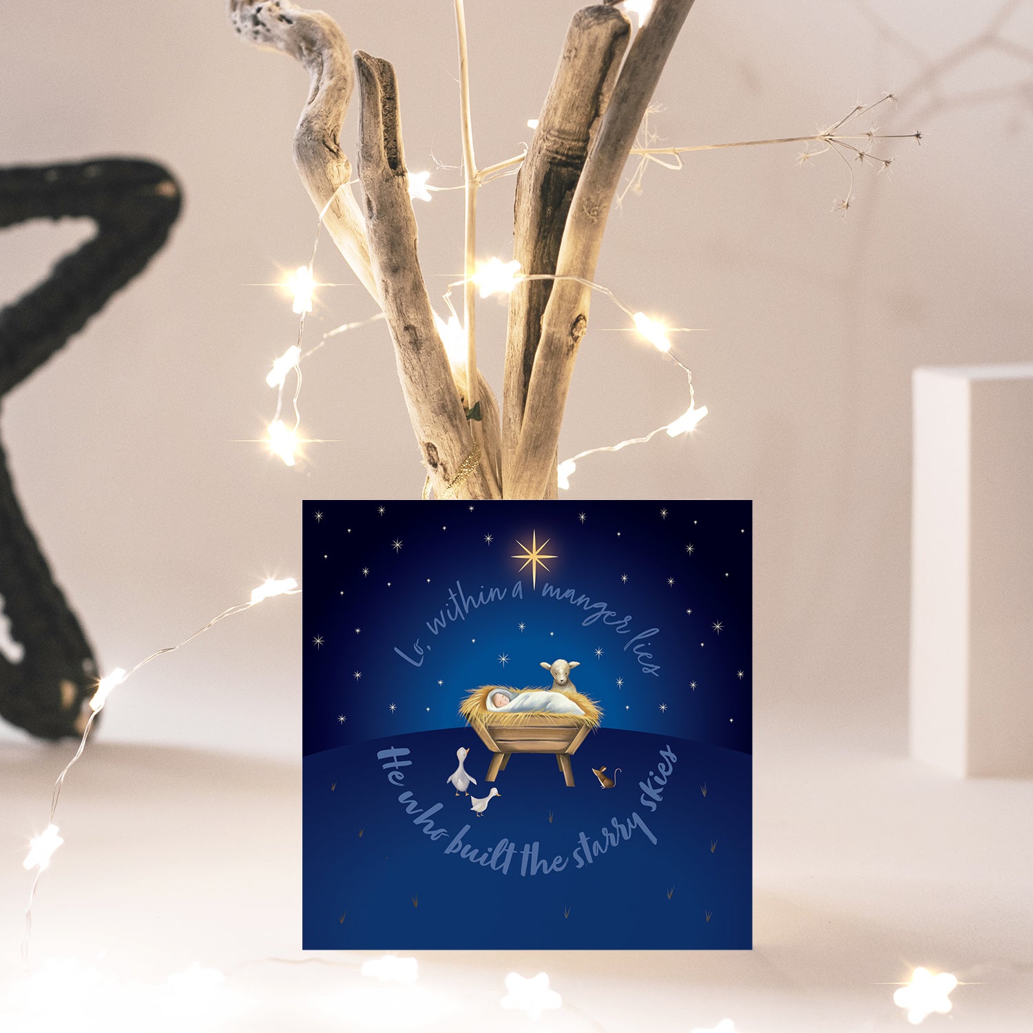 Compassion Christmas Card: Within A Manger (pack of 10) - The Christian Gift Company
