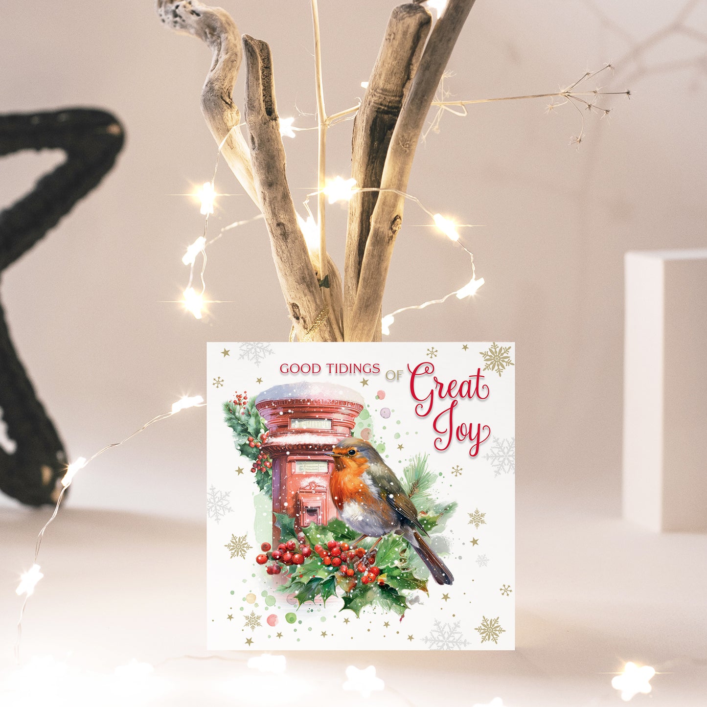 Compassion Christmas Card: Robin On Postbox (pack of 10) - The Christian Gift Company