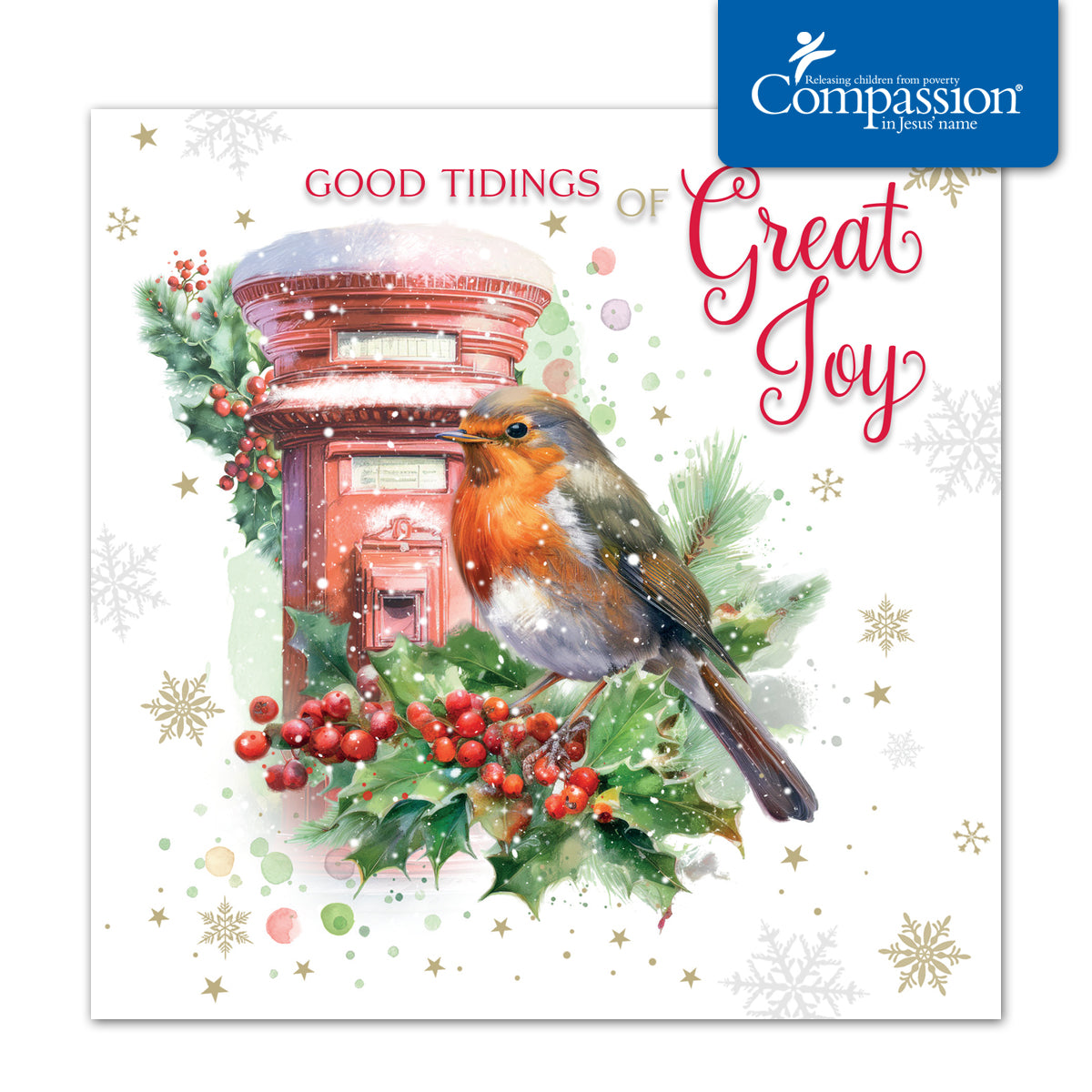 Compassion Christmas Card: Robin On Postbox (pack of 10) - The Christian Gift Company