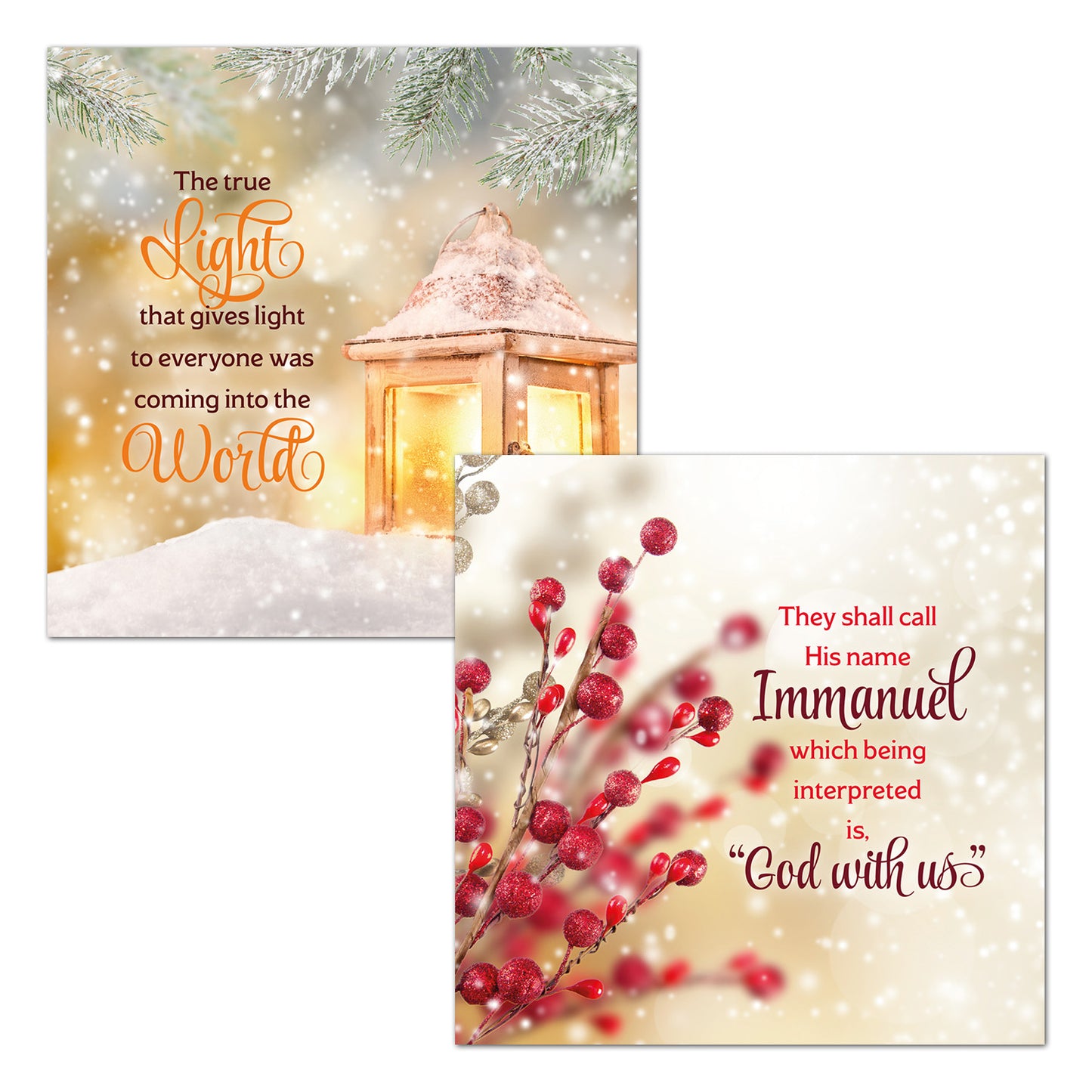 Christmas Card Pack - Berries/Lantern (16 cards) - The Christian Gift Company