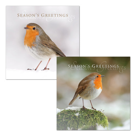 Christmas Card Pack - Robins (16 cards) - The Christian Gift Company