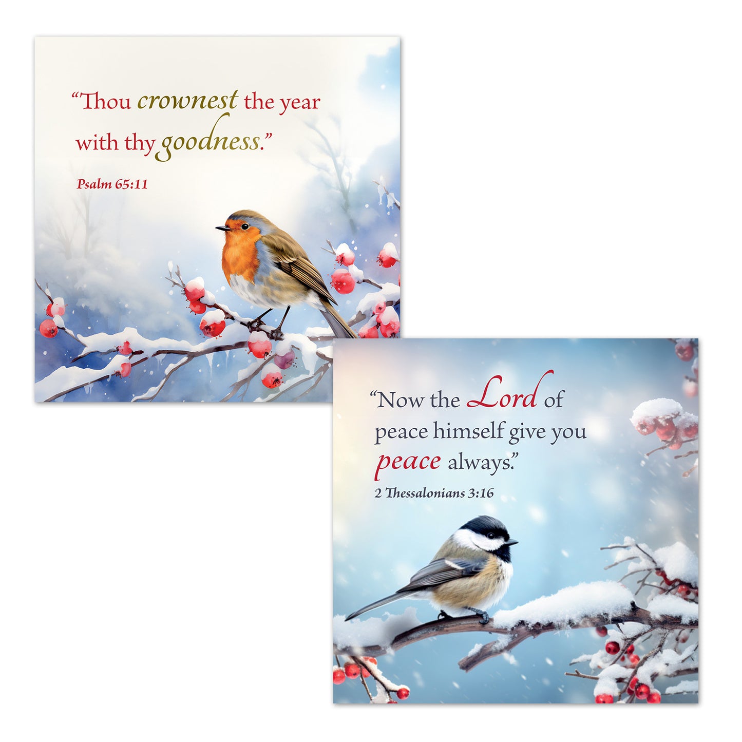 Christmas Card Box - Winter Birds (16 cards) - The Christian Gift Company