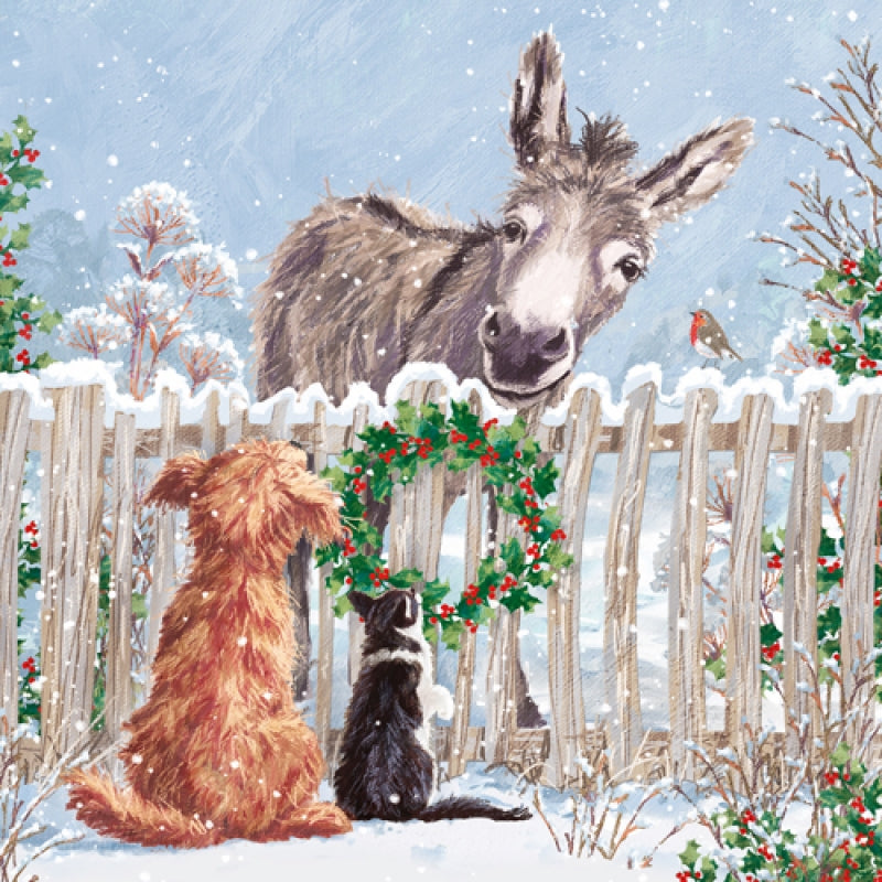 Marie Curie/BHF Christmas Card Donkey, Cat & Dog (pack of 4) The