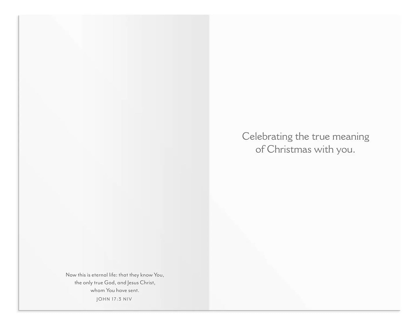 Christmas Cards - Only Jesus (50 cards) - The Christian Gift Company