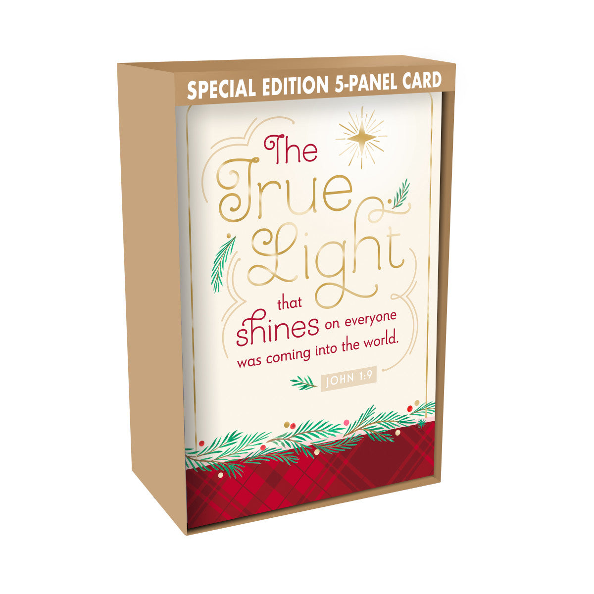 Special Edition 5-panel Christmas Cards - True Light (18 cards) - The Christian Gift Company