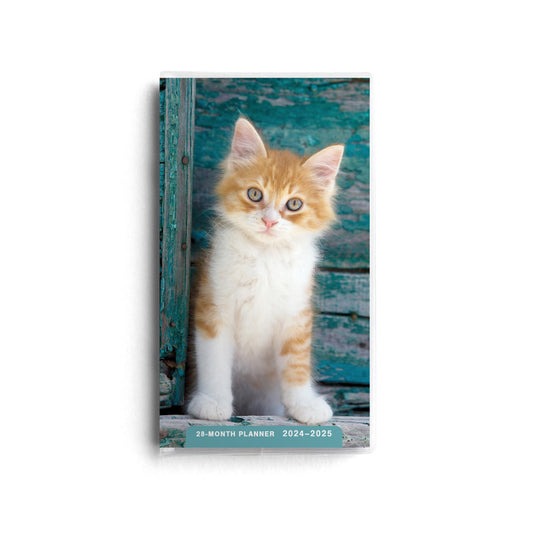 Kittens 28-Month Planner - The Christian Gift Company