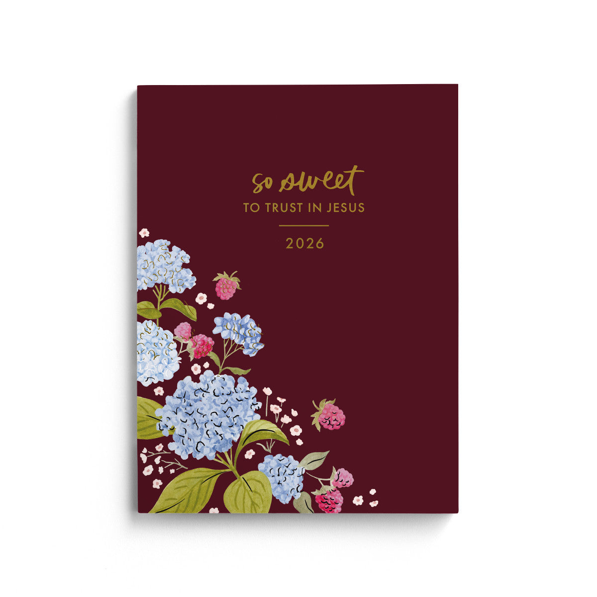 Studio 71 2026 16-Month Inspirational Planner - The Christian Gift Company