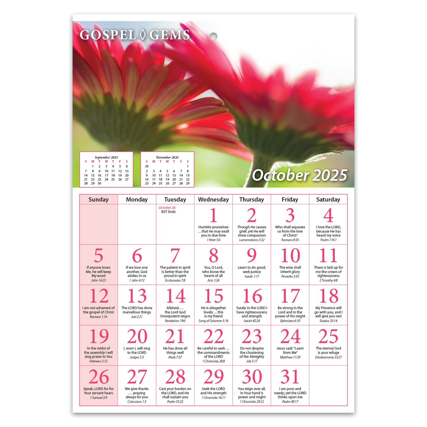 2025 Verse-a-Day Wall Calendar: Gospel Gems - pack of 25 - The Christian Gift Company
