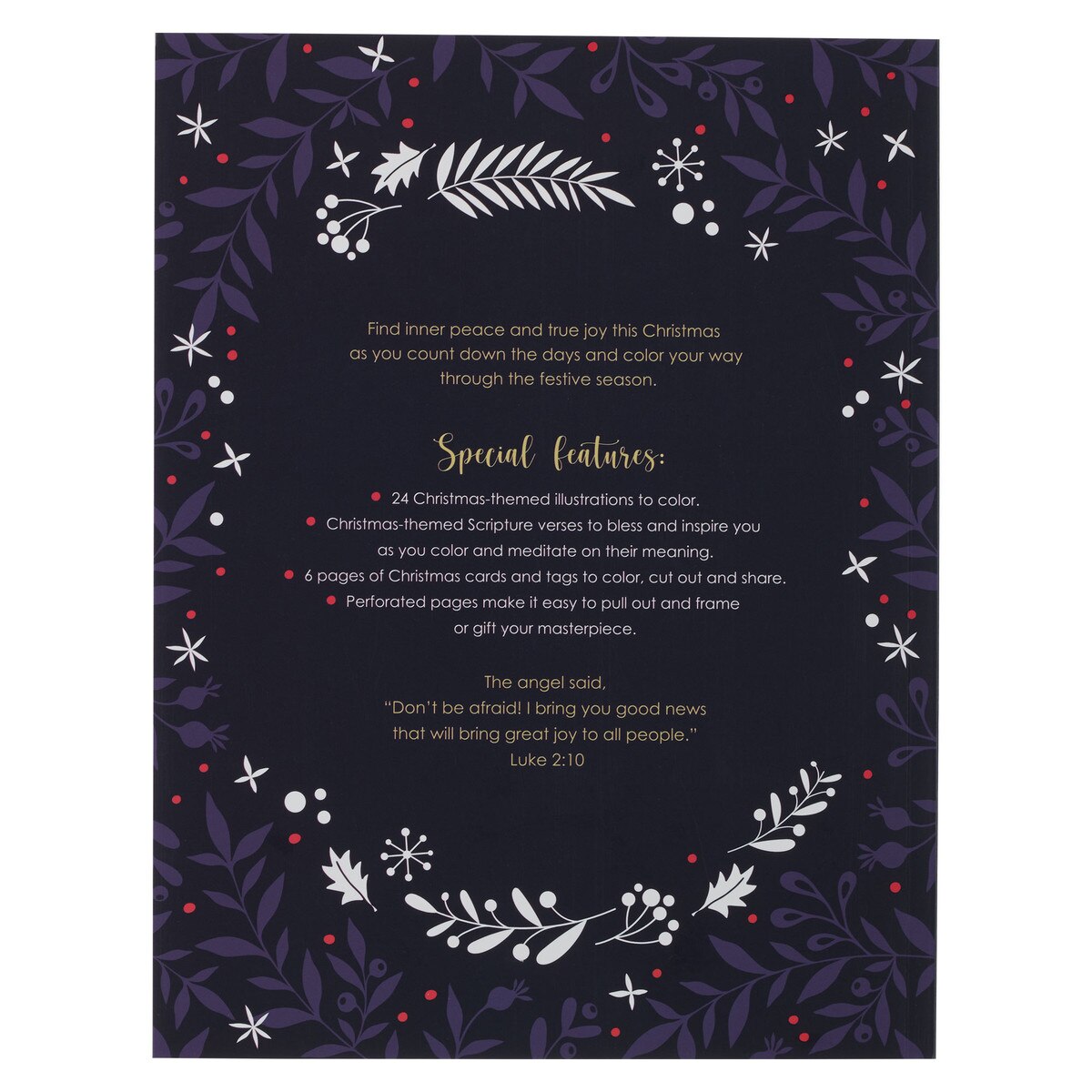 Advent Colouring Book - Good News of Great Joy - The Christian Gift Company