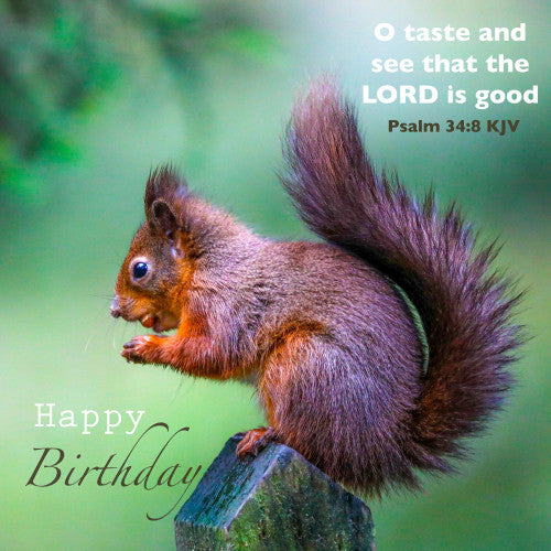 Taste and See Birthday Card - The Christian Gift Company