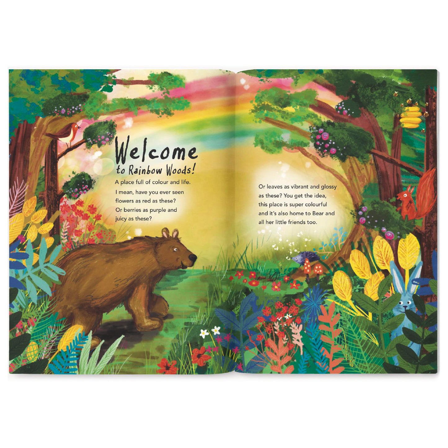 The Bear & the Colour Thief book Children’s Book - The Christian Gift Company