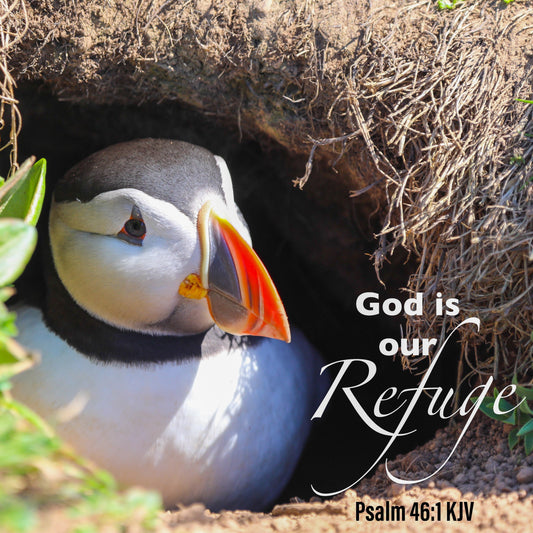 Puffin Refuge Card - The Christian Gift Company