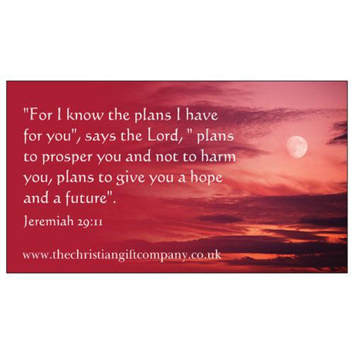 I Know the Plans Fridge Magnet - The Christian Gift Company