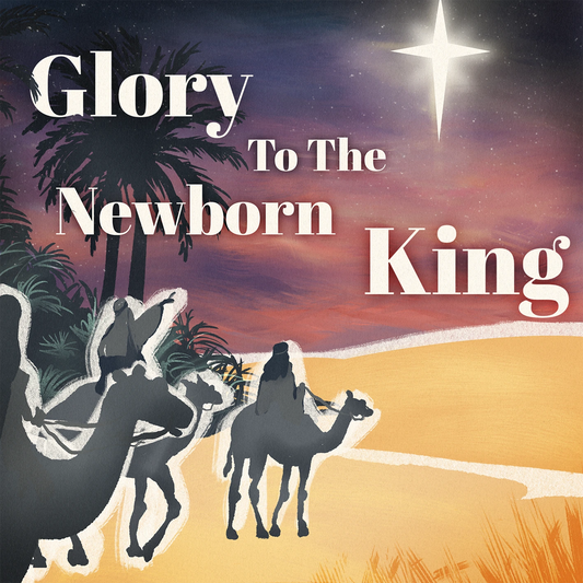 Newborn King (Pack of 10) - The Christian Gift Company