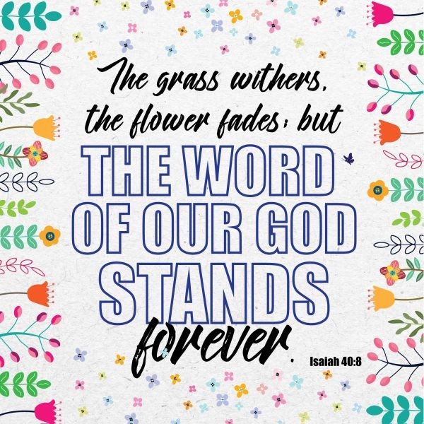 Word of God Christian Seeded Card - The Christian Gift Company