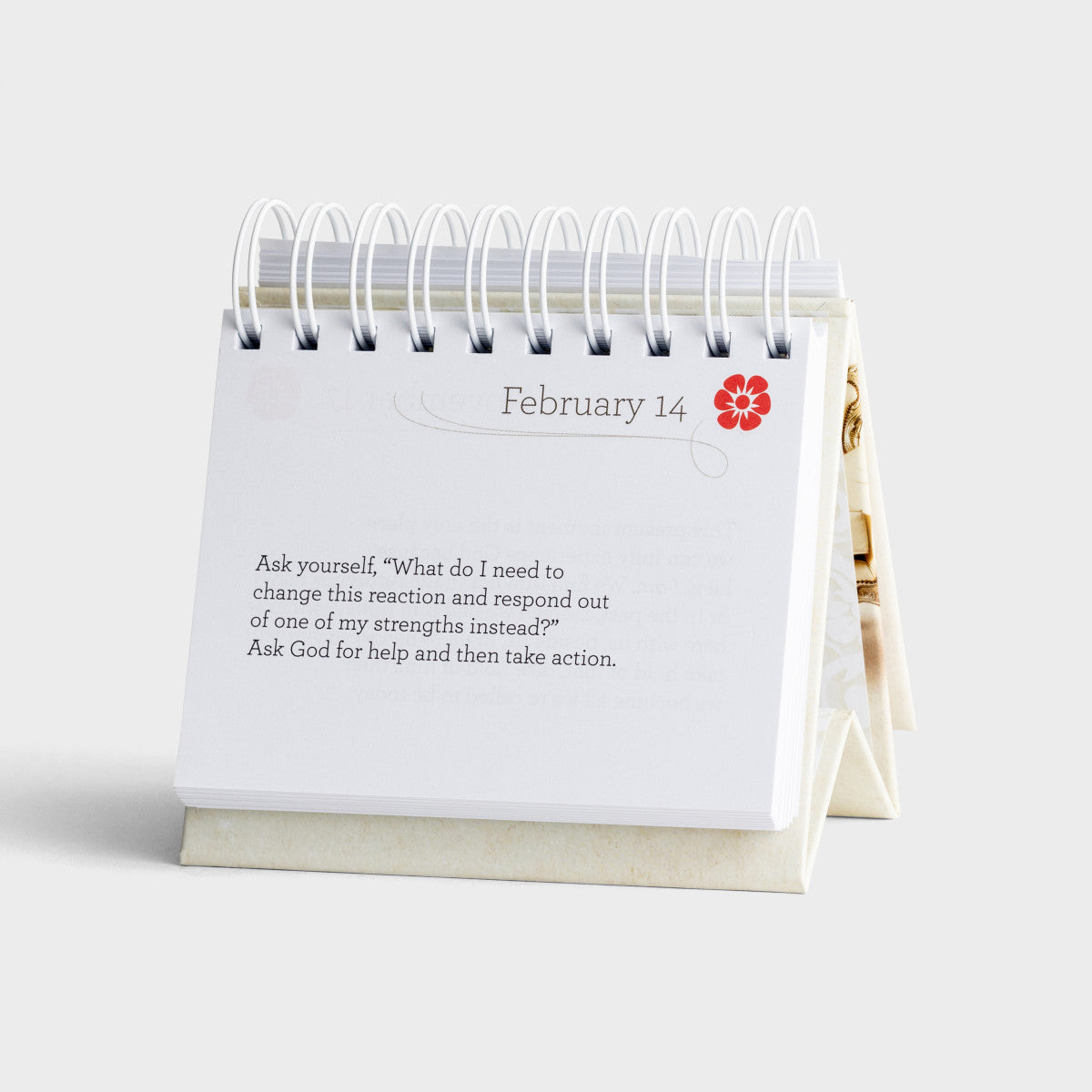 Holley - Already Amazing  - 365 Day Inspirational DayBrightener - The Christian Gift Company