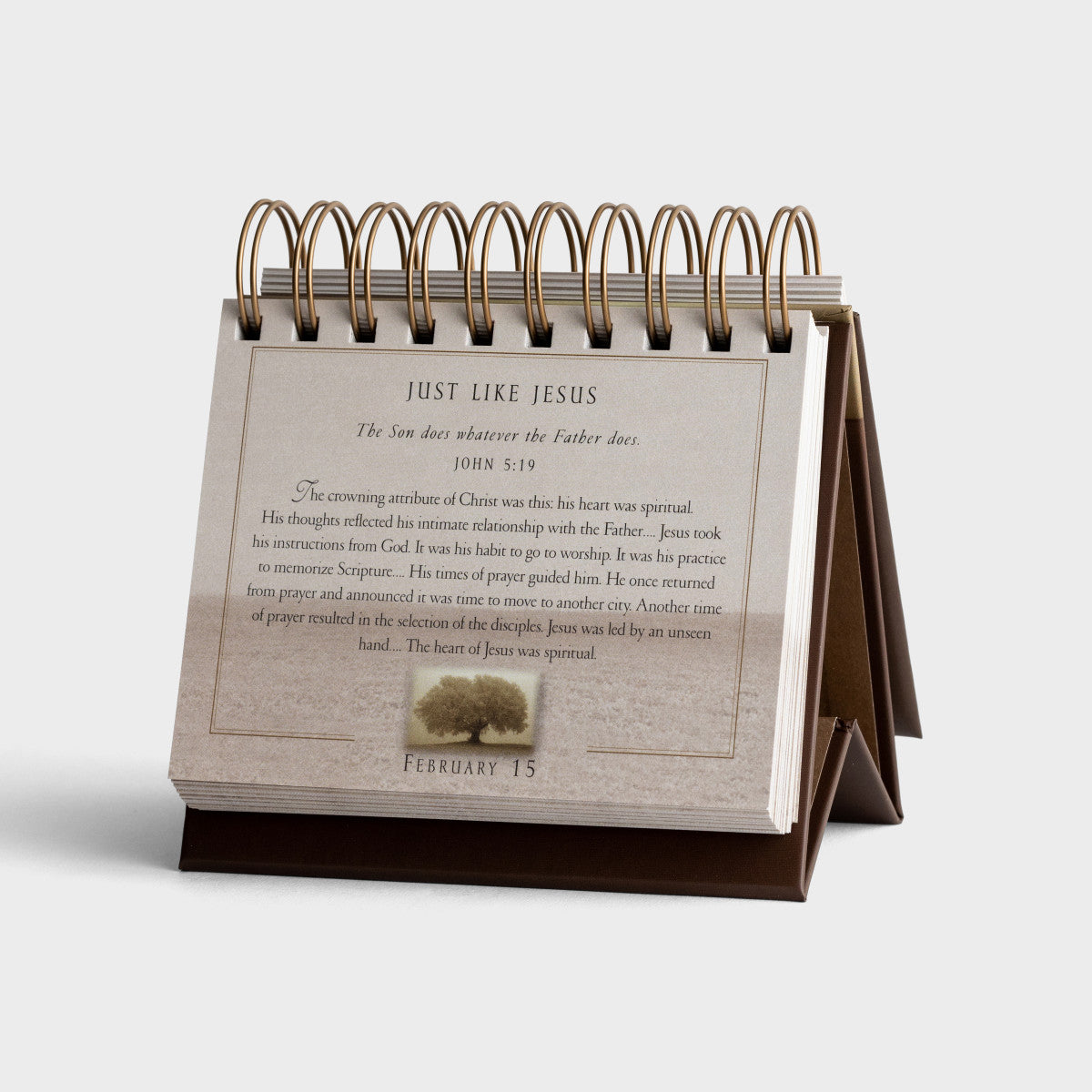 Grace For The Moment - 365 Day Inspirational DayBrightener - The Christian Gift Company