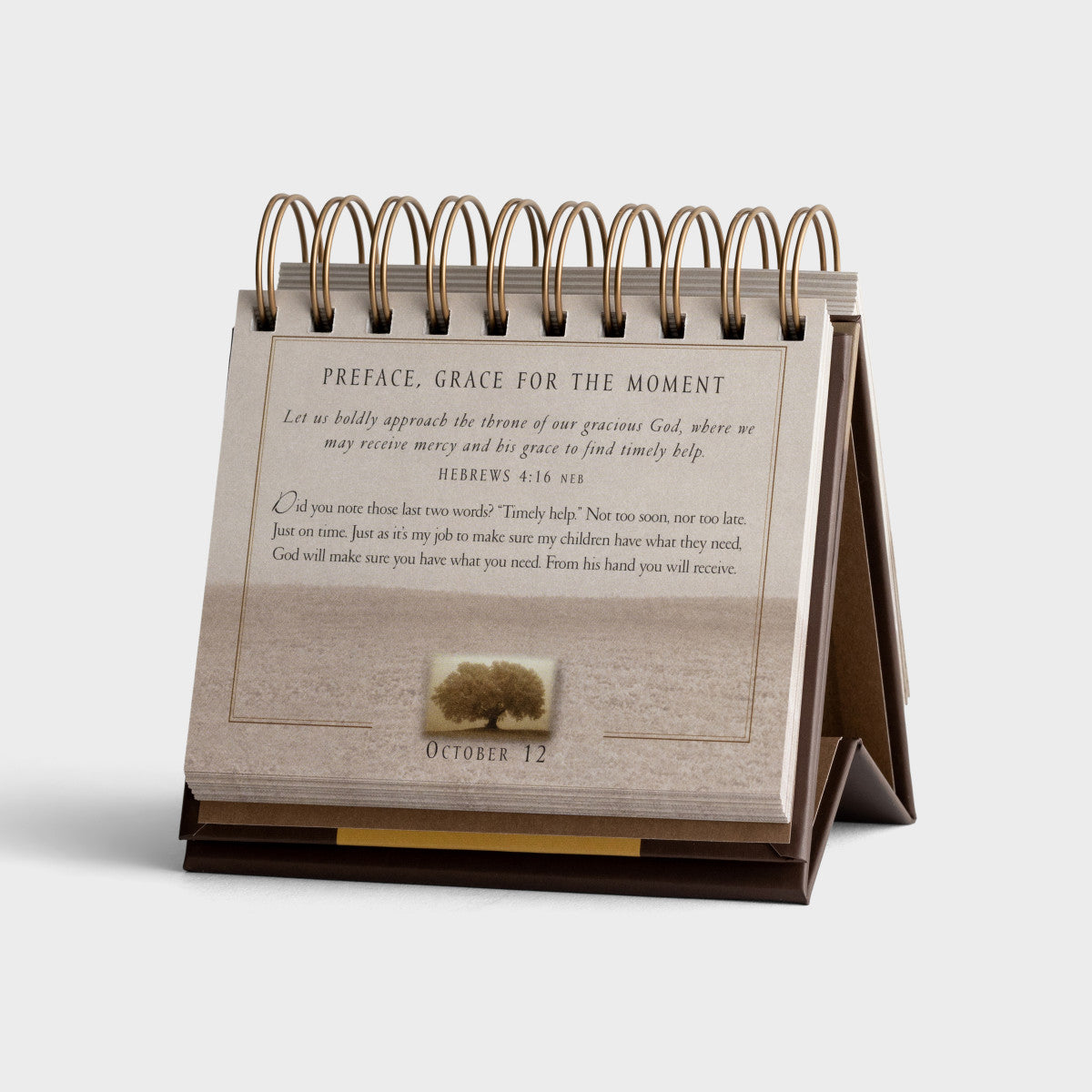 Grace For The Moment - 365 Day Inspirational DayBrightener - The Christian Gift Company