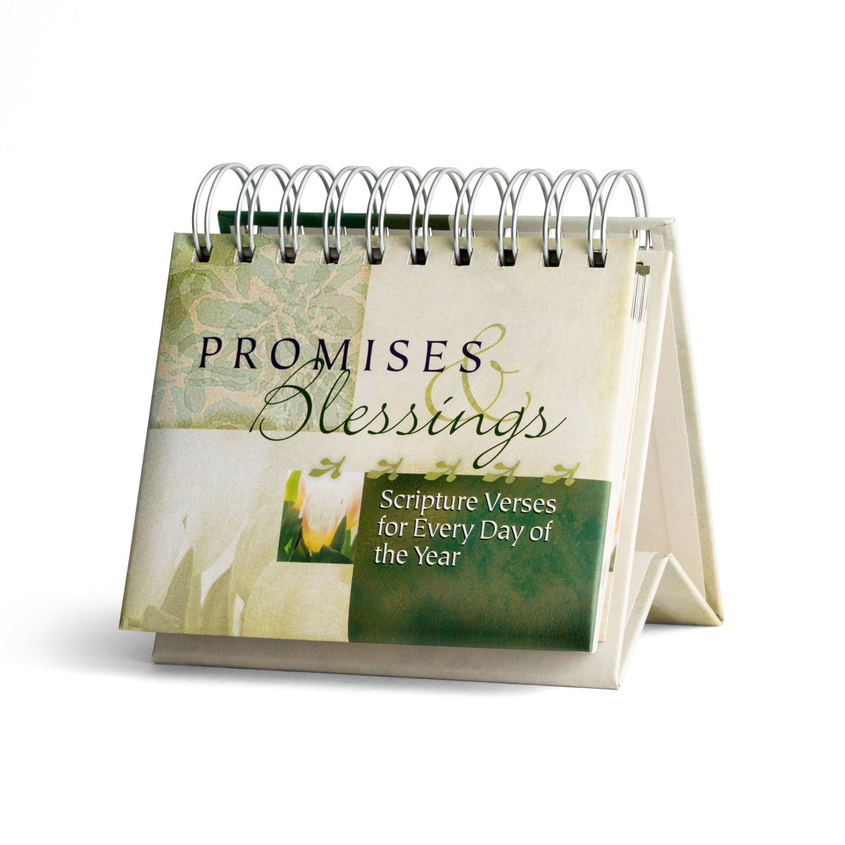 Promises And Blessings  - 365 Day Inspirational DayBrightener - The Christian Gift Company