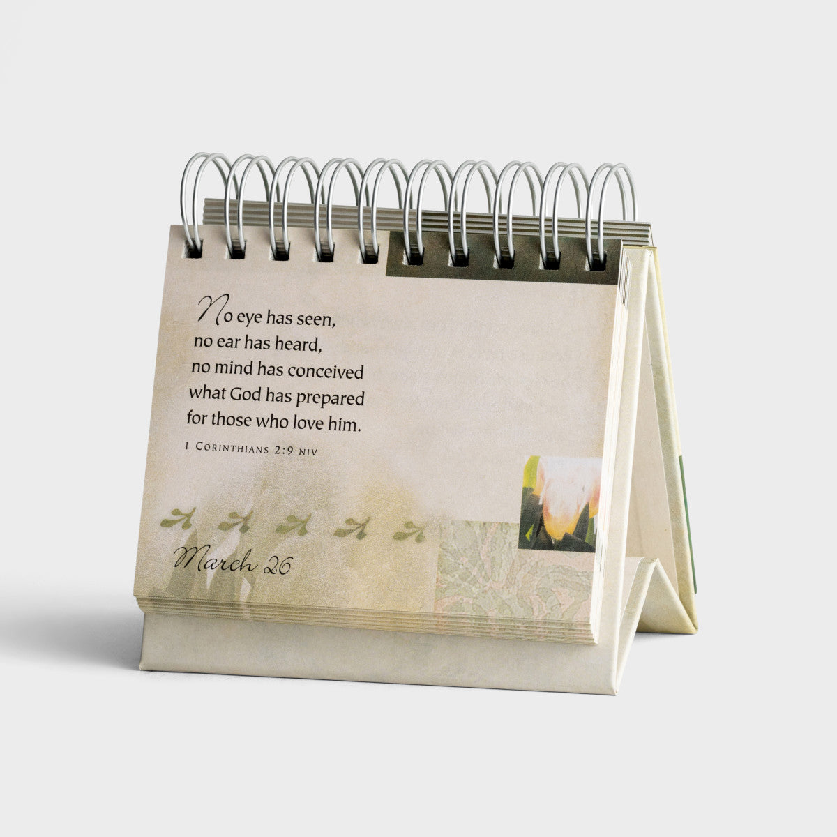 Promises And Blessings  - 365 Day Inspirational DayBrightener - The Christian Gift Company