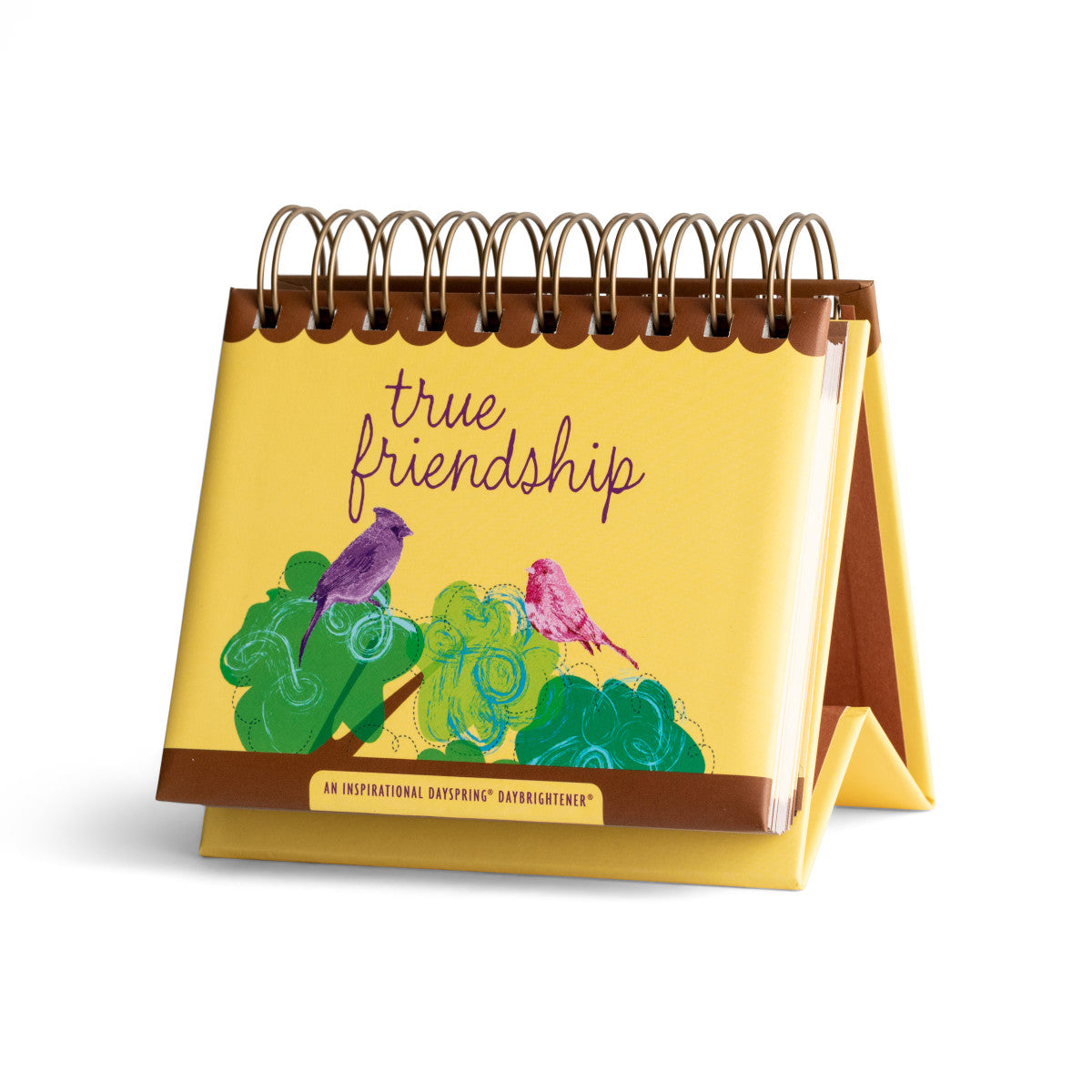 True Friendship  - 365 Day Inspirational DayBrightener - The Christian Gift Company