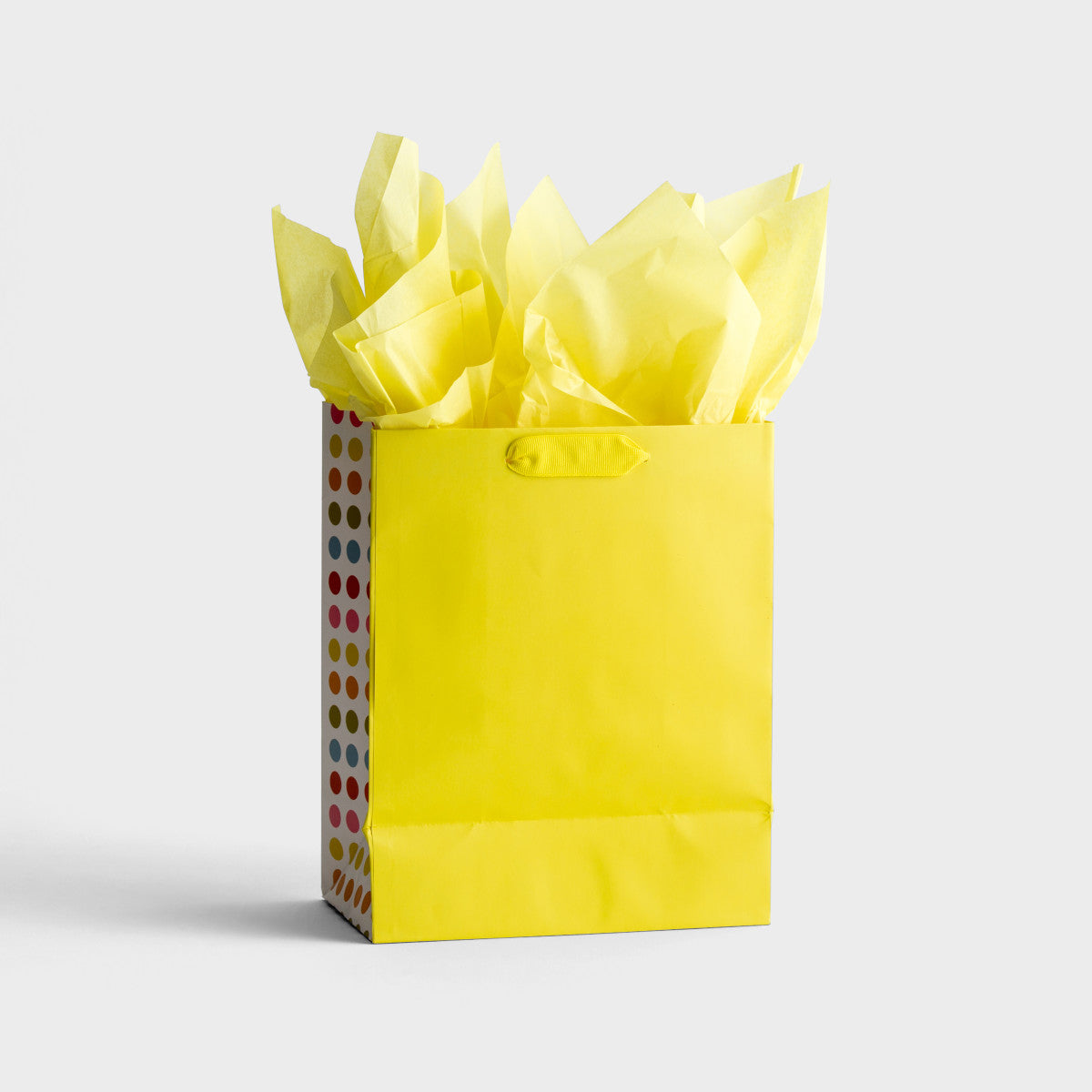 Noah's Ark - Medium Gift Bag with Tissue - The Christian Gift Company