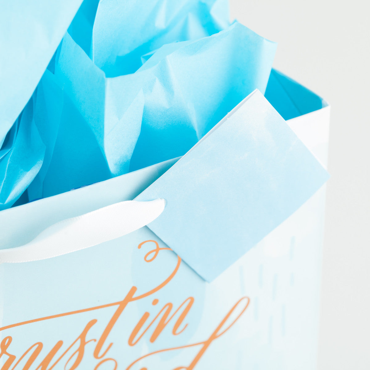 Trust in the Lord - Medium Gift Bag with Tissue - The Christian Gift Company