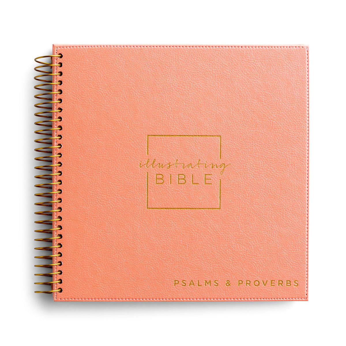 NIV - Illustrating Bible - Psalms & Proverbs - The Christian Gift Company