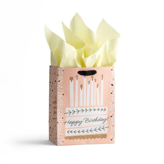 Happy Birthday - Cake - Medium Gift Bag with Tissue - The Christian Gift Company