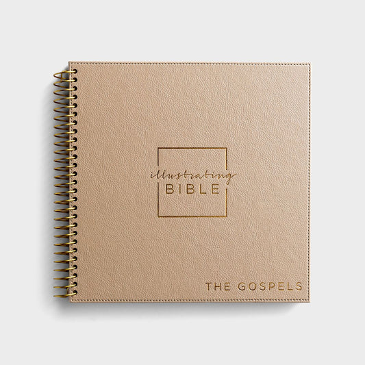 NIV - Illustrating Bible - The Gospels - The Christian Gift Company