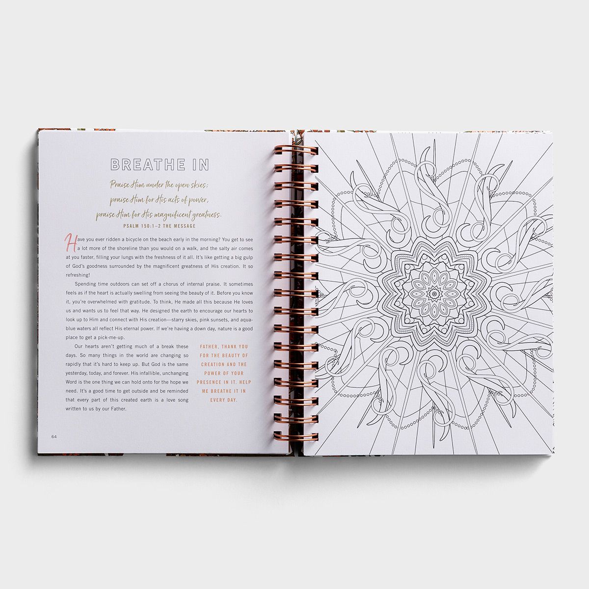 Set Your Mind on Things Above: A Devotional Colouring Book - The Christian Gift Company