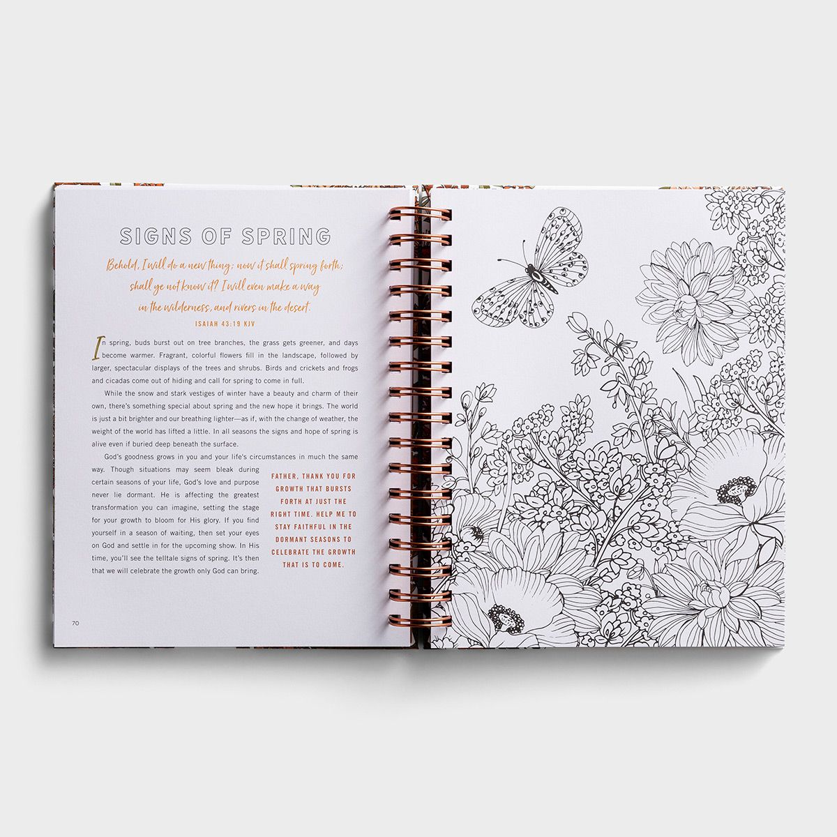 Set Your Mind on Things Above: A Devotional Colouring Book - The Christian Gift Company