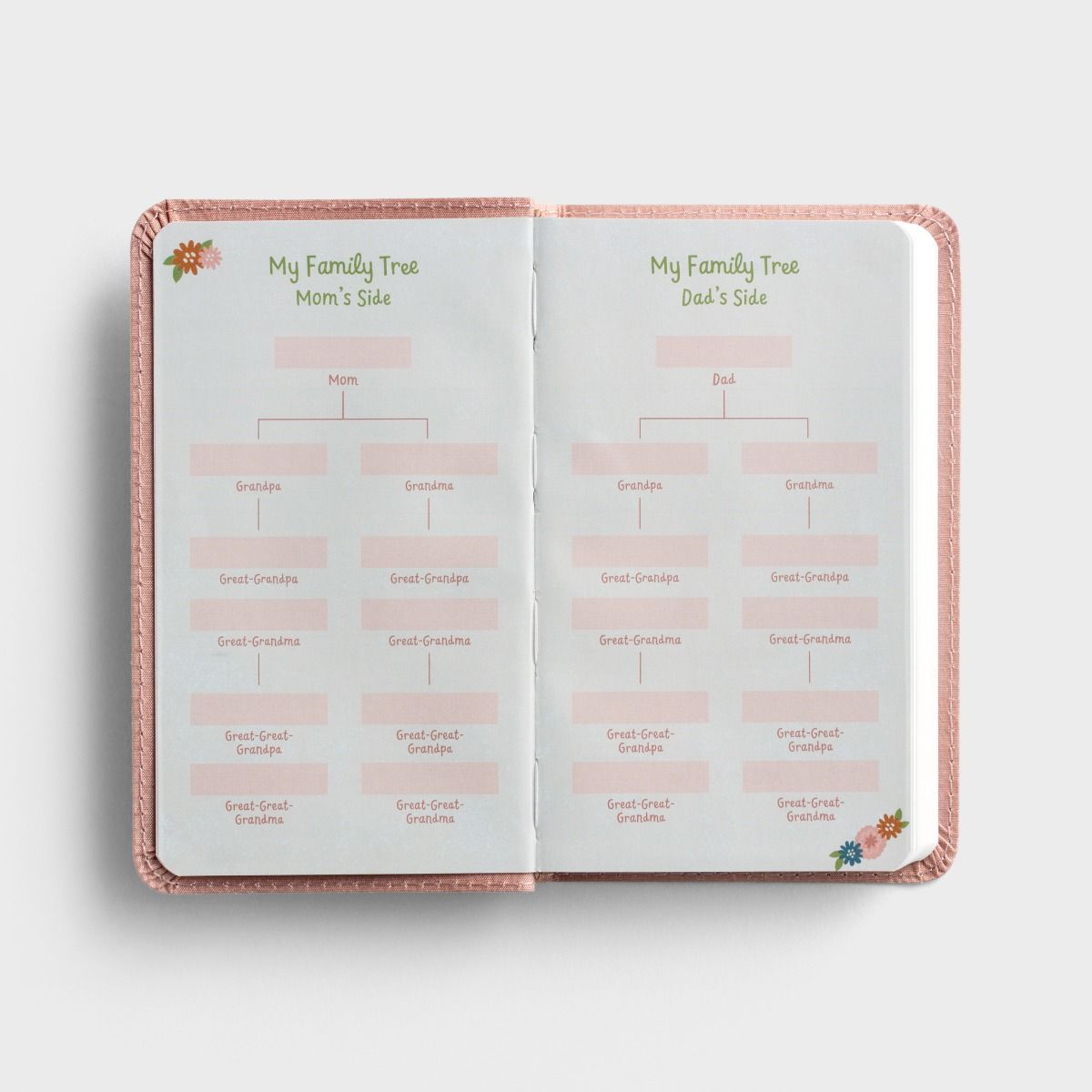 Wonderfully Made: Baby Girl's First Bible - The Christian Gift Company