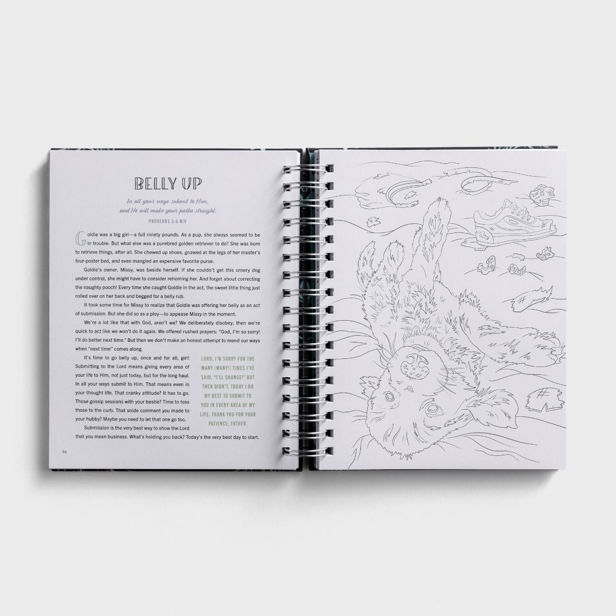 Be Still & Know: Devotional Coloring Book - The Christian Gift Company