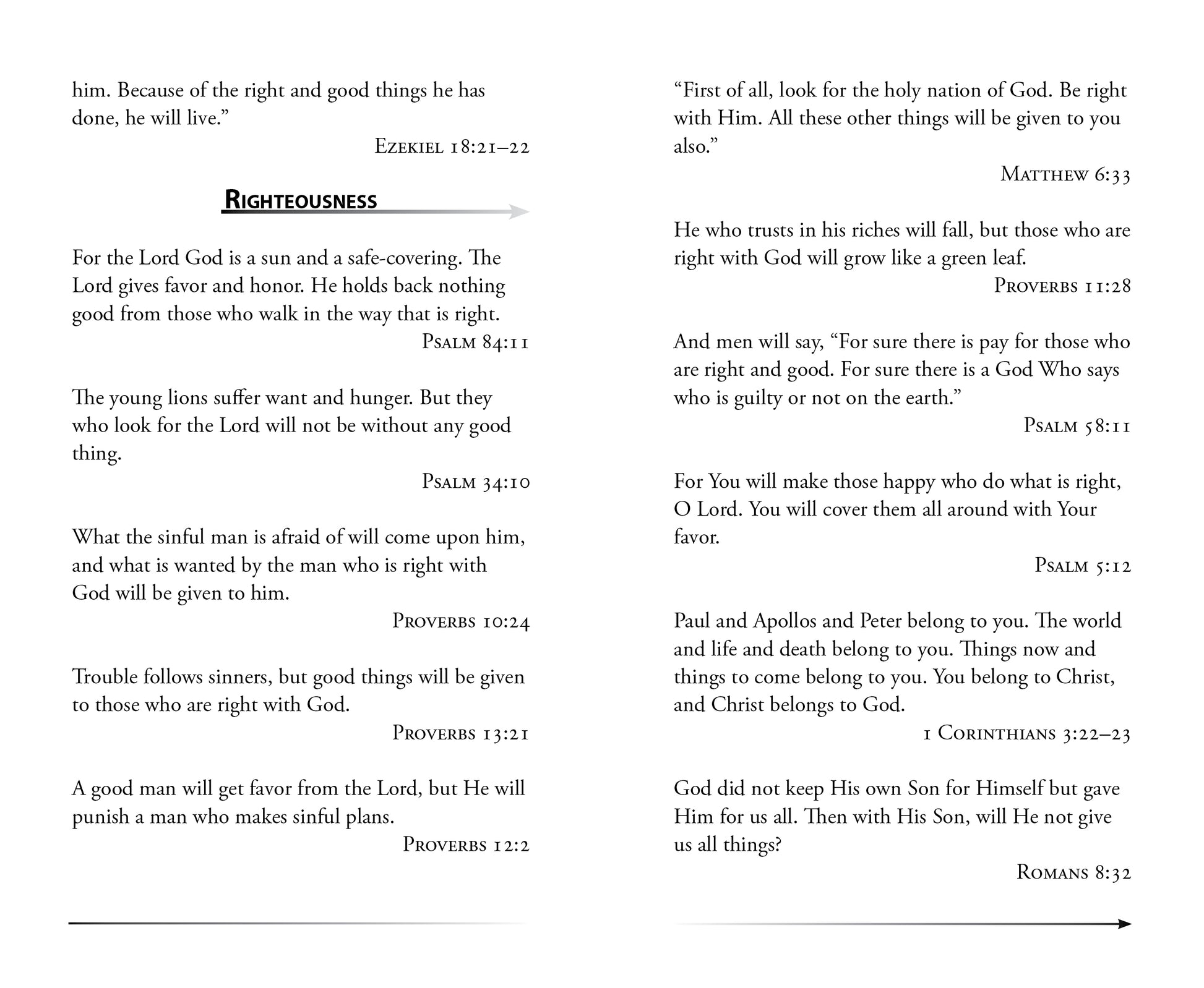 The Bible Promise Book - NLV - The Christian Gift Company